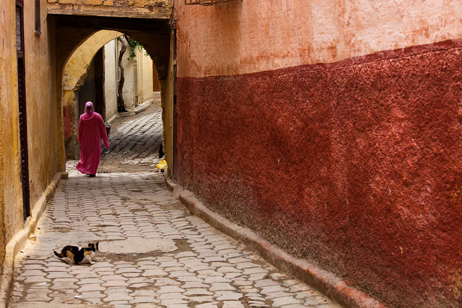  Medina alley in Meknes   Morocco
